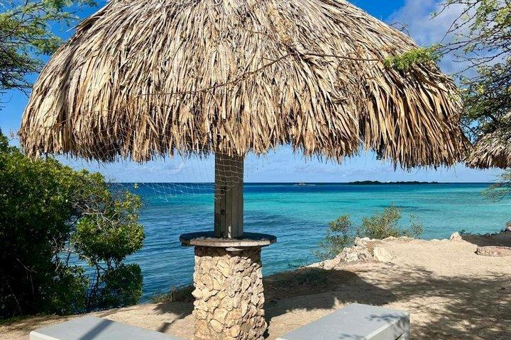 Entdecken Sie Freitauchen mit Underdog Divers Aruba