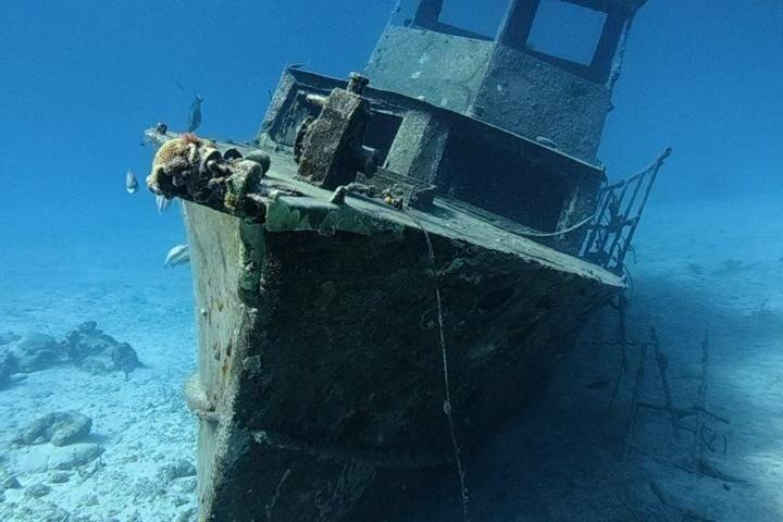 Entdecken Sie Freitauchen mit Underdog Divers Aruba