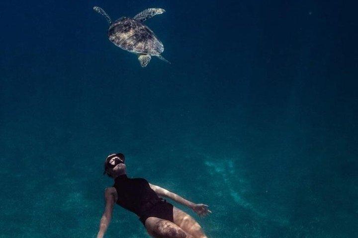 Entdecken Sie Freitauchen mit Underdog Divers Aruba