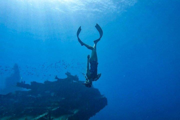 Entdecken Sie Freitauchen mit Underdog Divers Aruba