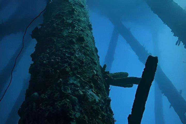 Entdecken Sie Freitauchen mit Underdog Divers Aruba