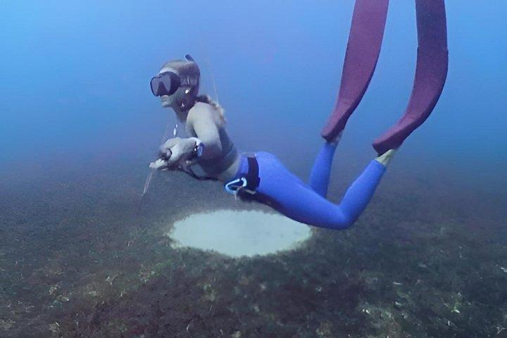 Entdecken Sie Freitauchen mit Underdog Divers Aruba