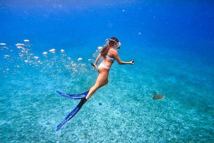 Entdecken Sie Freitauchen mit Underdog Divers Aruba