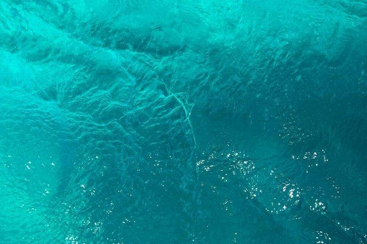 Entdecken Sie Freitauchen mit Underdog Divers Aruba