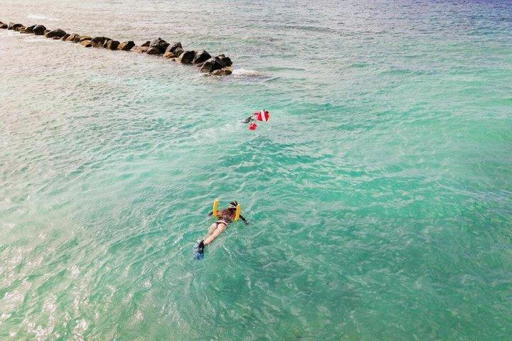 Entdecken Sie Freitauchen mit Underdog Divers Aruba