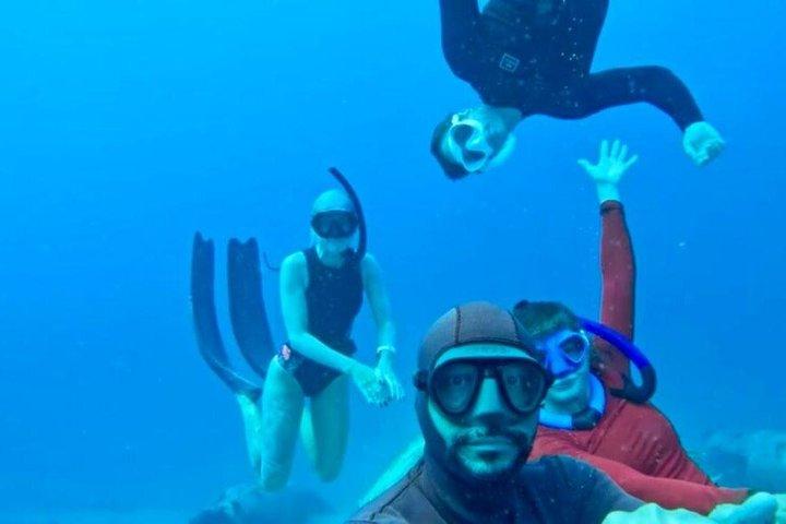 Entdecken Sie Freitauchen mit Underdog Divers Aruba