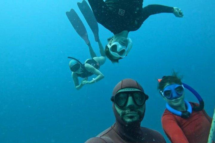 Entdecken Sie Freitauchen mit Underdog Divers Aruba