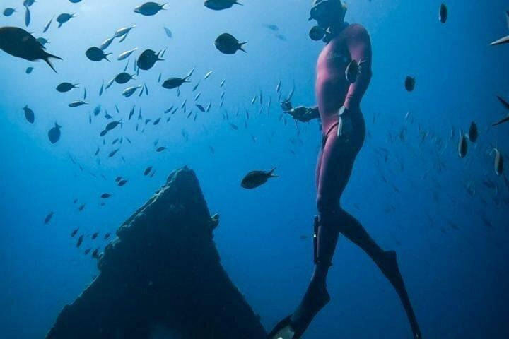 Entdecken Sie Freitauchen mit Underdog Divers Aruba