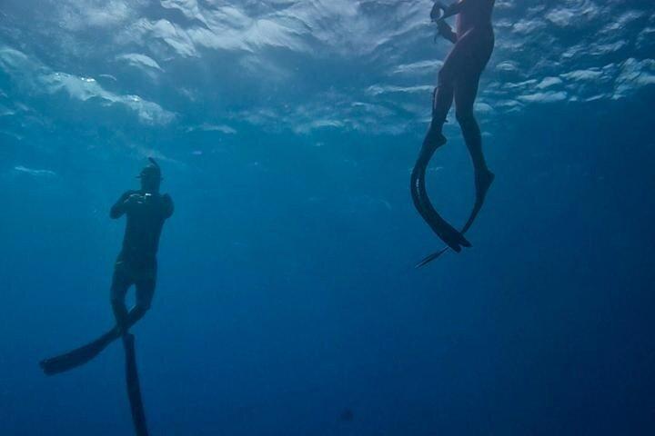 Entdecken Sie Freitauchen mit Underdog Divers Aruba