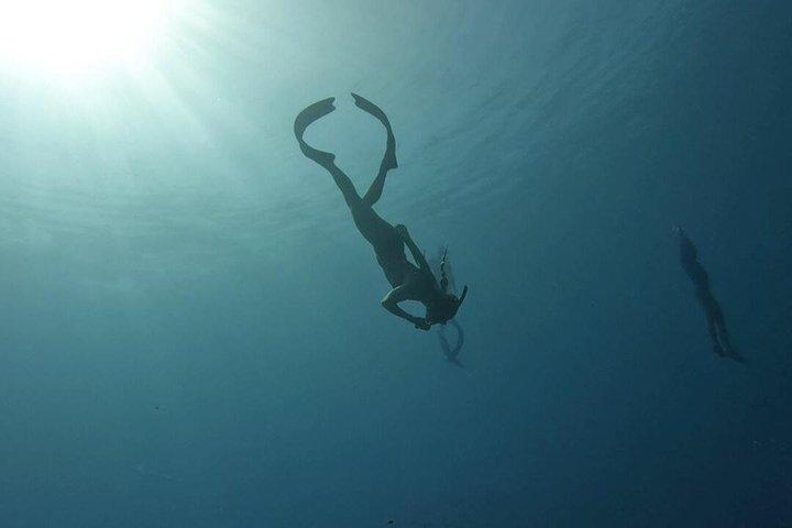 Entdecken Sie Freitauchen mit Underdog Divers Aruba