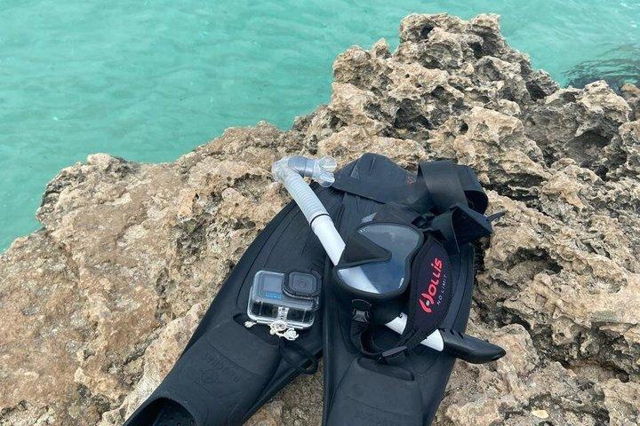 Entdecken Sie Freitauchen mit Underdog Divers Aruba