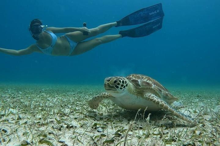 Entdecken Sie Freitauchen mit Underdog Divers Aruba