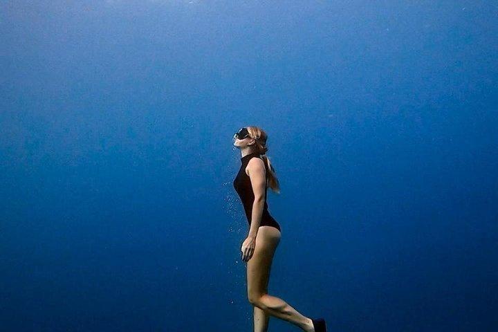 Entdecken Sie Freitauchen mit Underdog Divers Aruba