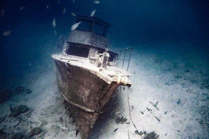 Entdecken Sie Freitauchen mit Underdog Divers Aruba