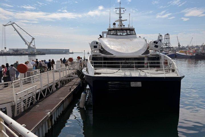 Robben Island Museum Ticket Ferry Half Day Tour