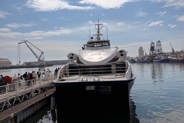 Robben Island Museum Ticket Ferry Half Day Tour