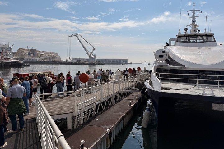 Robben Island Museum Ticket Ferry Half Day Tour