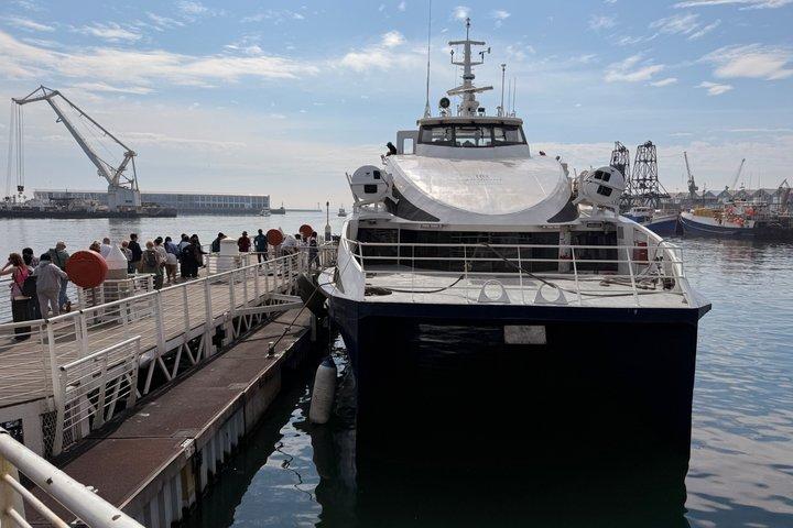 Robben Island Museum Ticket Ferry Half Day Tour