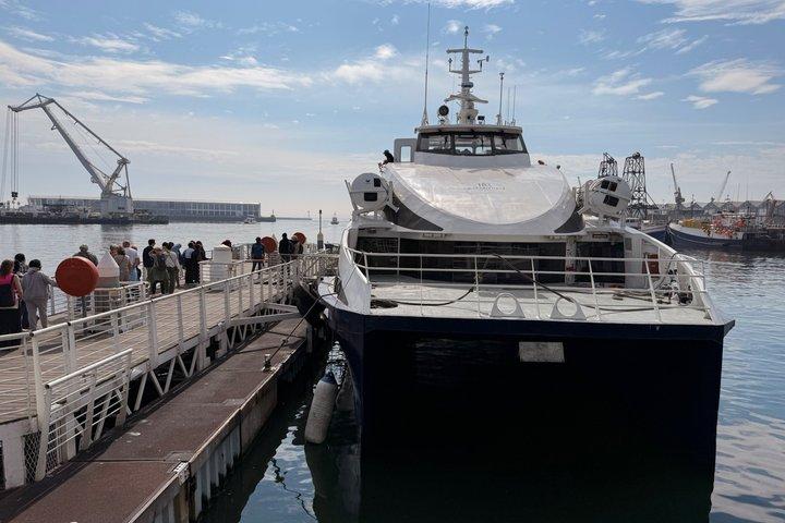 Robben Island Museum Ticket Ferry Half Day Tour