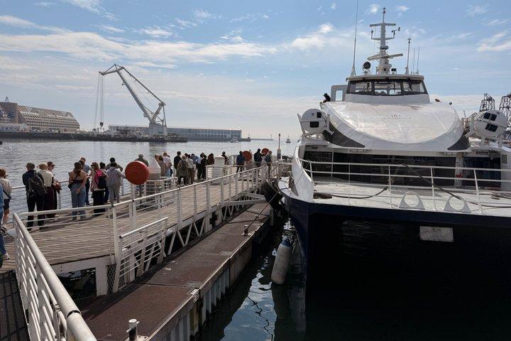 Robben Island Museum Ticket Ferry Half Day Tour