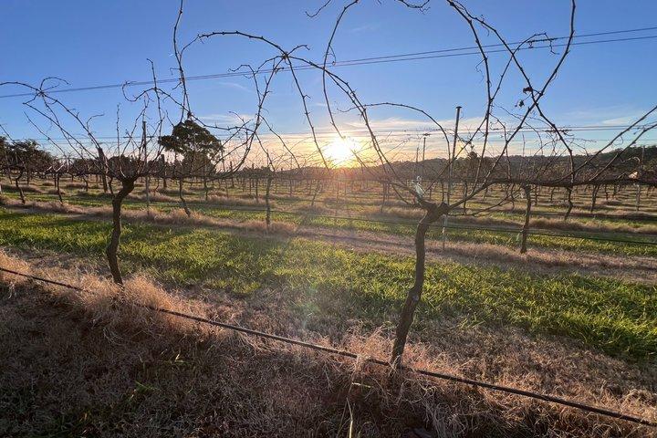Private Southern Highlands Wine Tasting Experience