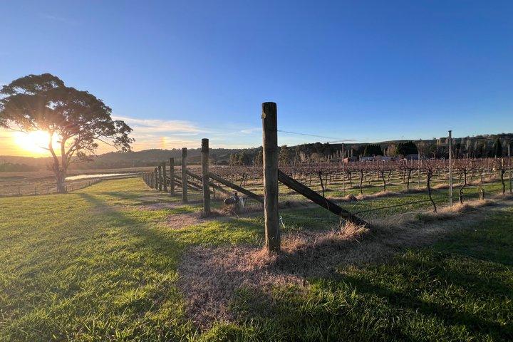 Private Southern Highlands Wine Tasting Experience