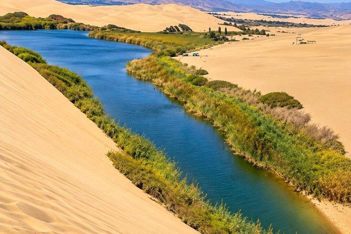 Morón Oasis Desert Experience from Paracas