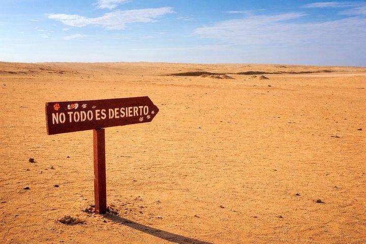 パラカス・ネイション・リザーブ・ジャーニー - 自分のペースで絶景停車