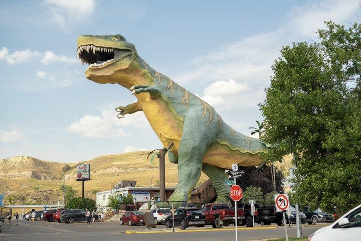 博物館チケット、恐竜、史跡を巡るドラムヘラーツアー