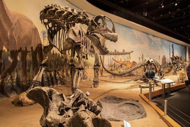 Drumheller Tour with Museum Tickets, Dinosaurs and Historic Sites