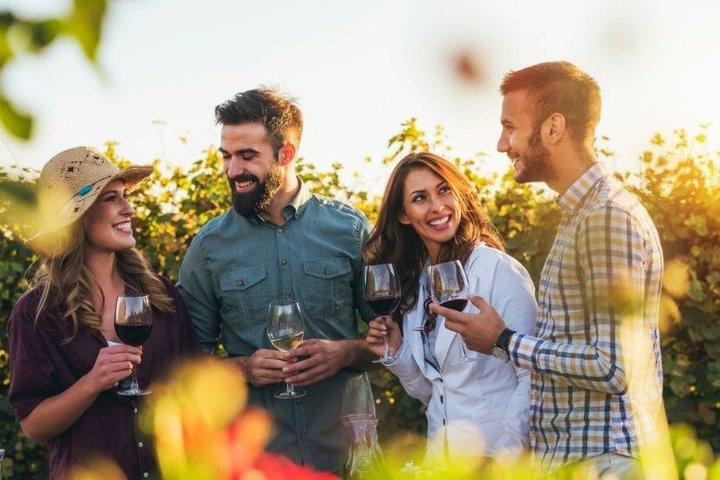 Private Niagara Falls and Winery Tour from Toronto