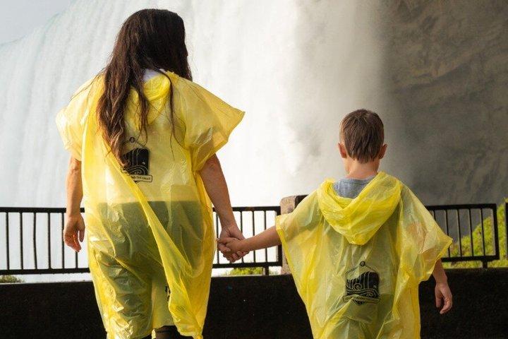 Private Niagara Falls and Winery Tour from Toronto