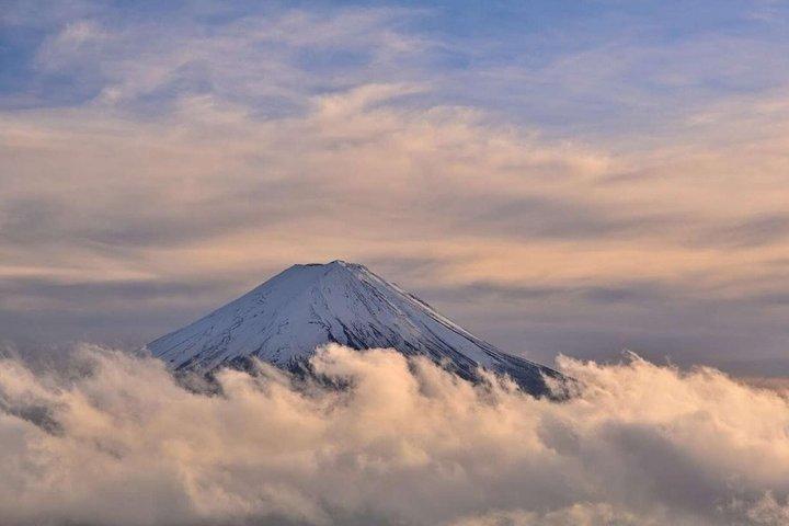 Mt Fuji and Hakone Gem Private Tour Licensed Guide with Driver
