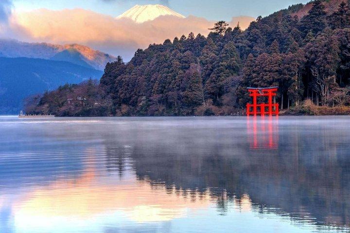 Mt Fuji and Hakone Gem Private Tour Licensed Guide with Driver