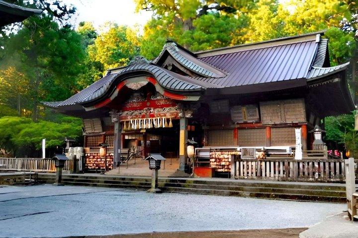 Mt Fuji and Hakone Gem Private Tour Licensed Guide with Driver