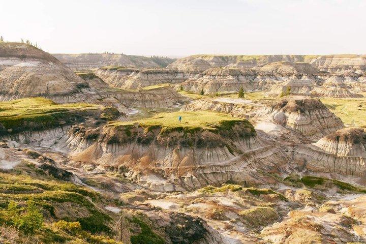 Badlands Small Group Guided Tour: Calgary to Drumheller Dinosaurs