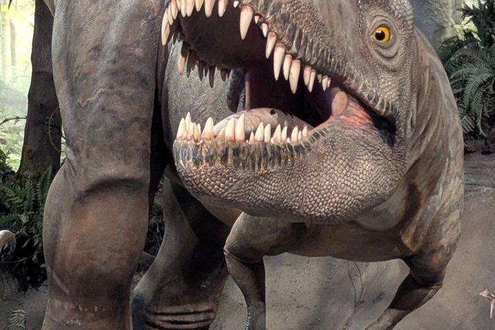Badlands Small Group Guided Tour: Calgary to Drumheller Dinosaurs