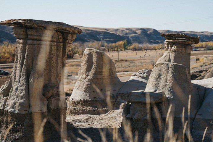Badlands Small Group Guided Tour: Calgary to Drumheller Dinosaurs