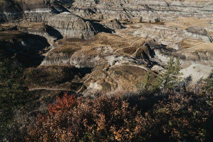 Badlands Small Group Guided Tour: Calgary to Drumheller Dinosaurs