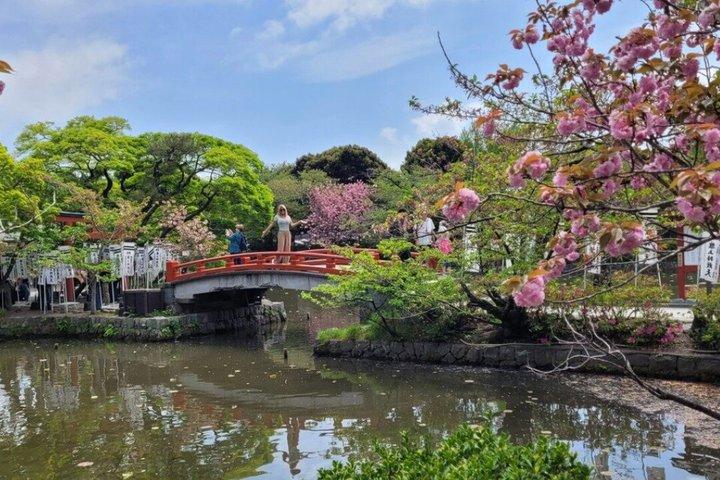 東京発プライベート鎌倉桜日帰りツアー