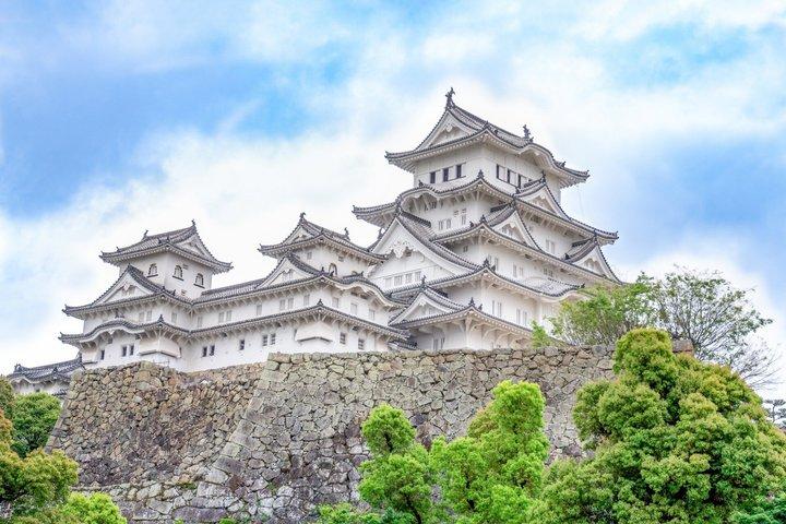 Kyoto o Osaka Castello di Himeji e Tour Privato di Kobe Beef