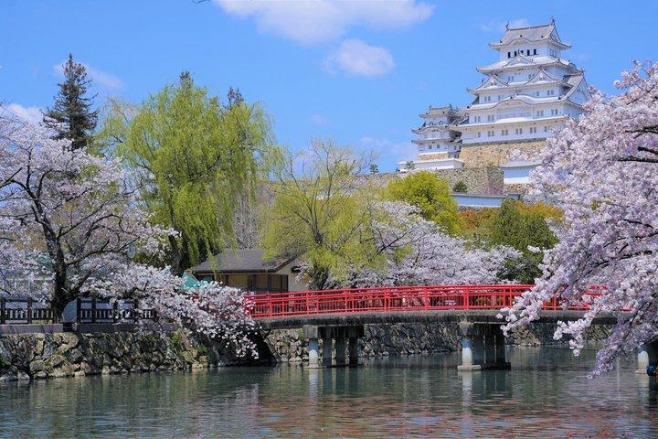 京都か大阪、姫路城と神戸ビーフのプライベート日帰り旅行