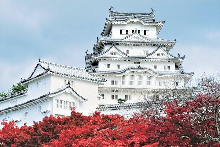 京都か大阪、姫路城と神戸ビーフのプライベート日帰り旅行