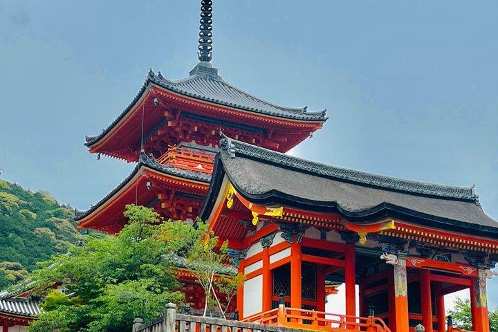 英語を話すドライバーガイド付き京都プライベートカーツアー