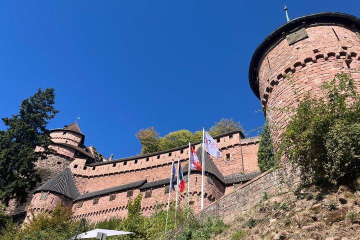 Villaggi dell'Alsazia, Colmar e Castello Tour privato in auto per 1 - 6