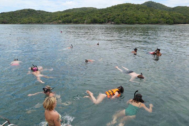 サムイ島発、ティーククルーズによるピッグアイランドツアーとシュノーケリング