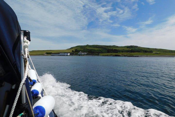 Lambay Eiland Wildernis Zee Safari