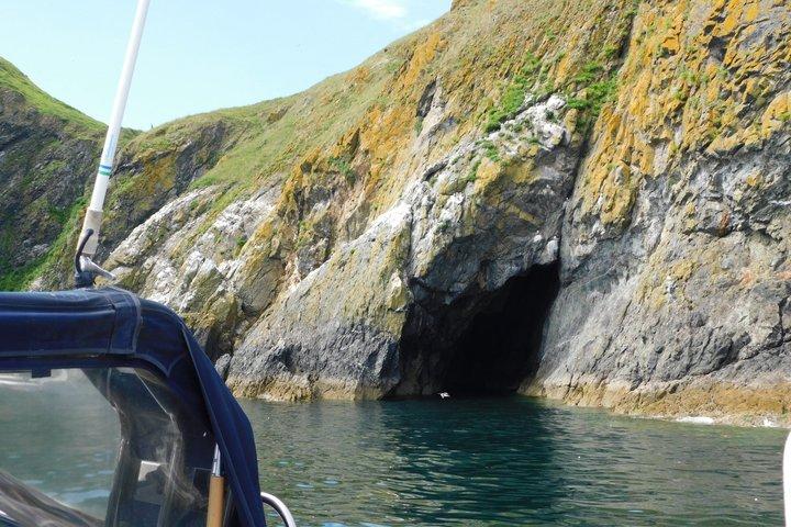 Lambay Eiland Wildernis Zee Safari