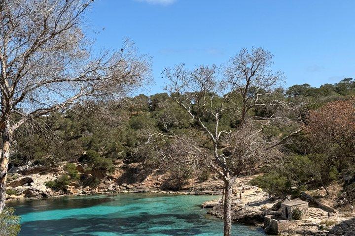 Mallorca: Quad tour in Magaluf through coves, viewpoints, and cliffs