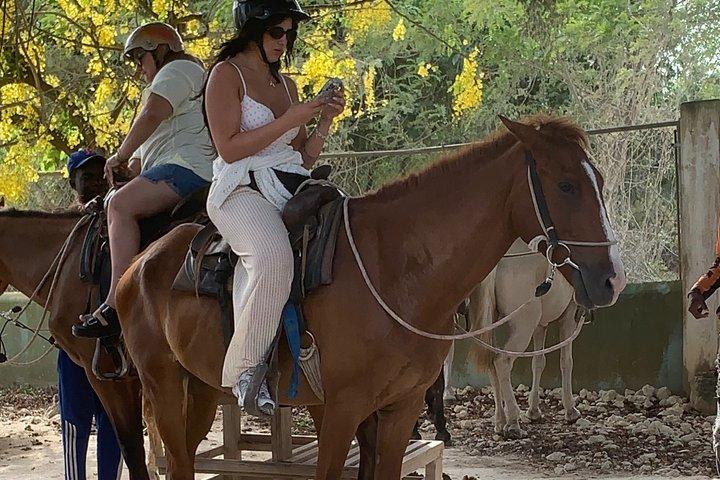 Reiten in Punta Cana & Stranderlebnis in Macau